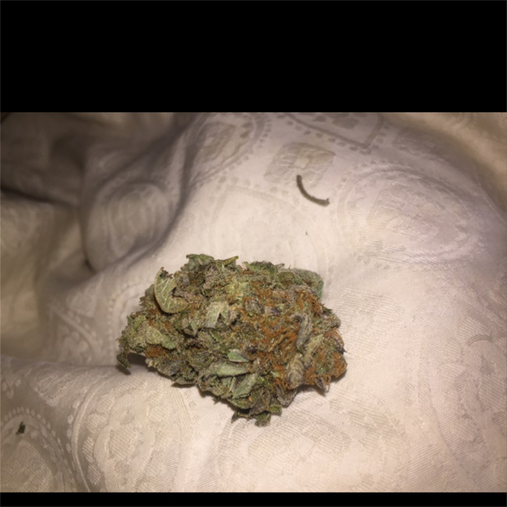Pink Champagne