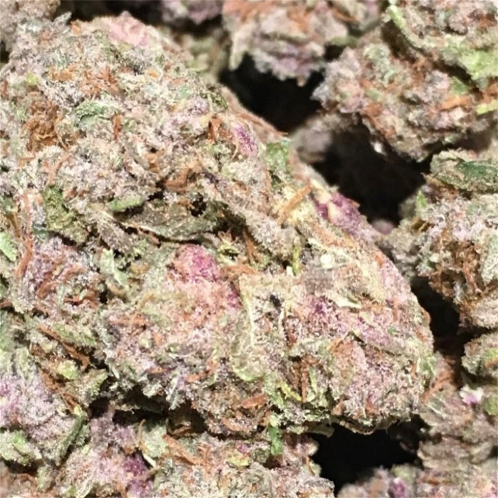 Pink Lemonade