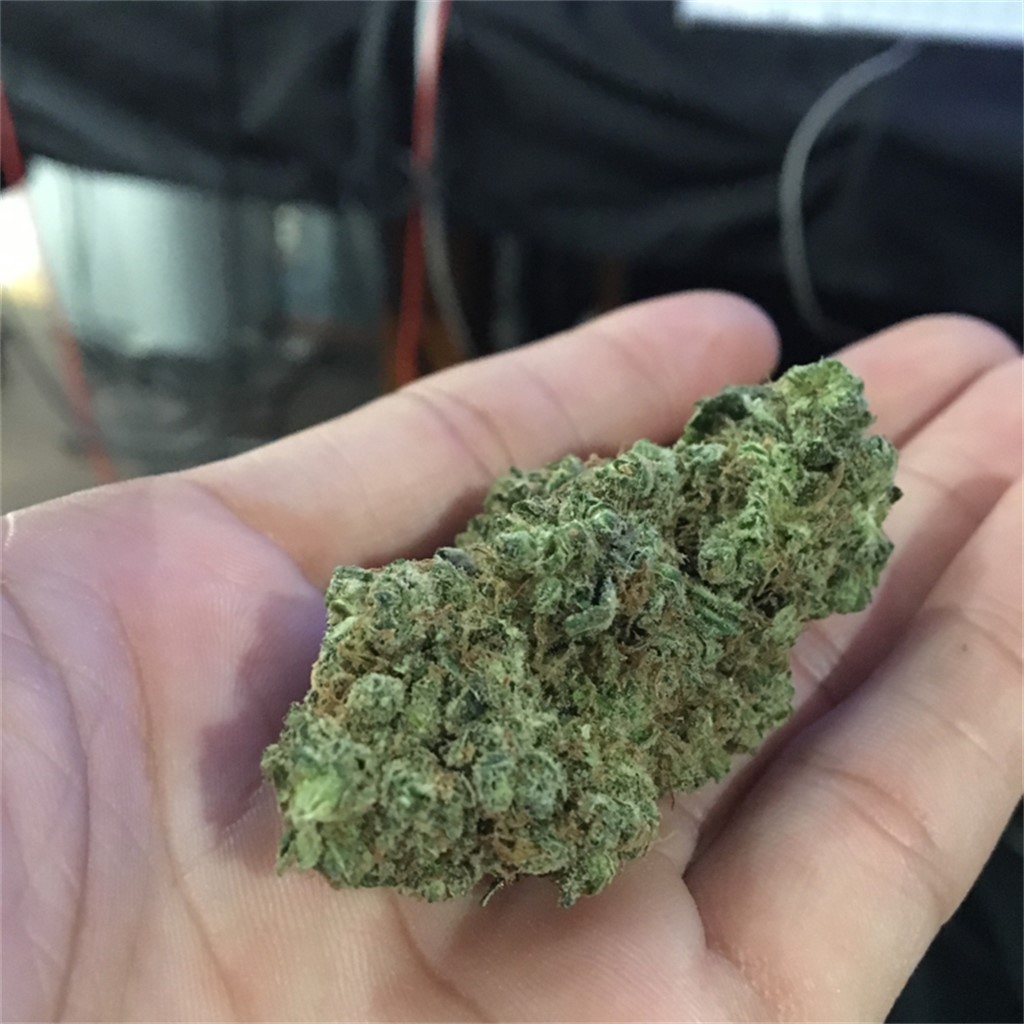 Foto de la variedad Pink Pez