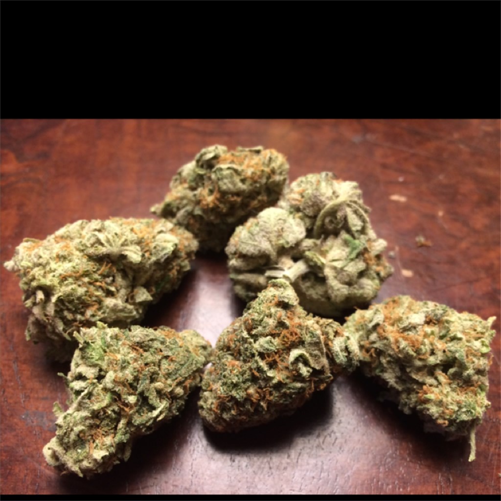 Foto de la variedad Platinum Wreck