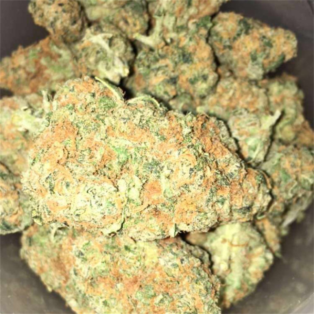 Foto de la variedad Power Kush