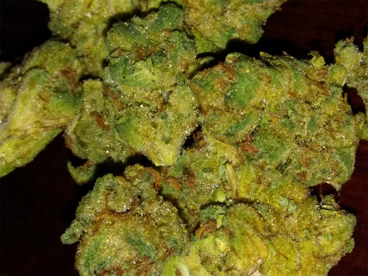 Foto de la variedad Pre-98 Bubba Kush
