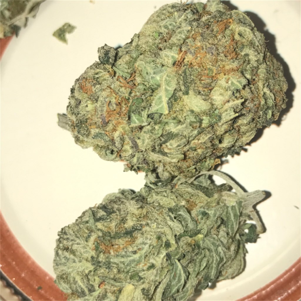 Puna Budder