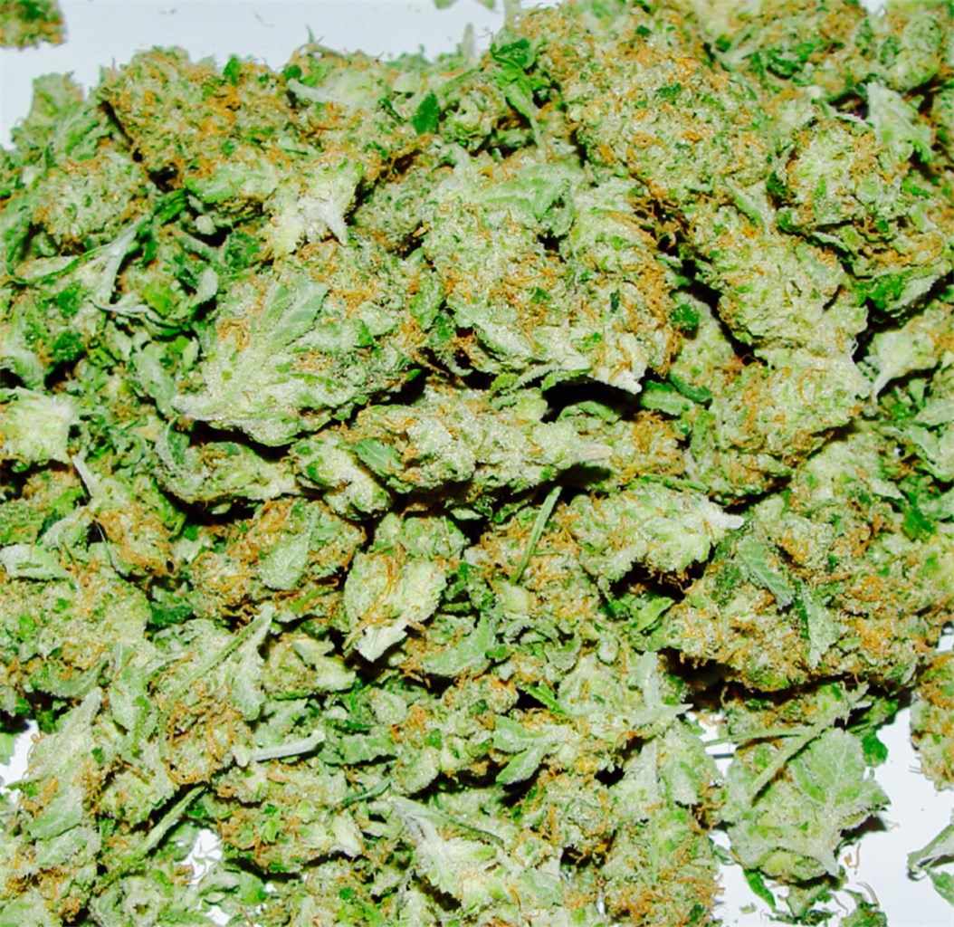 Foto de la variedad PPP