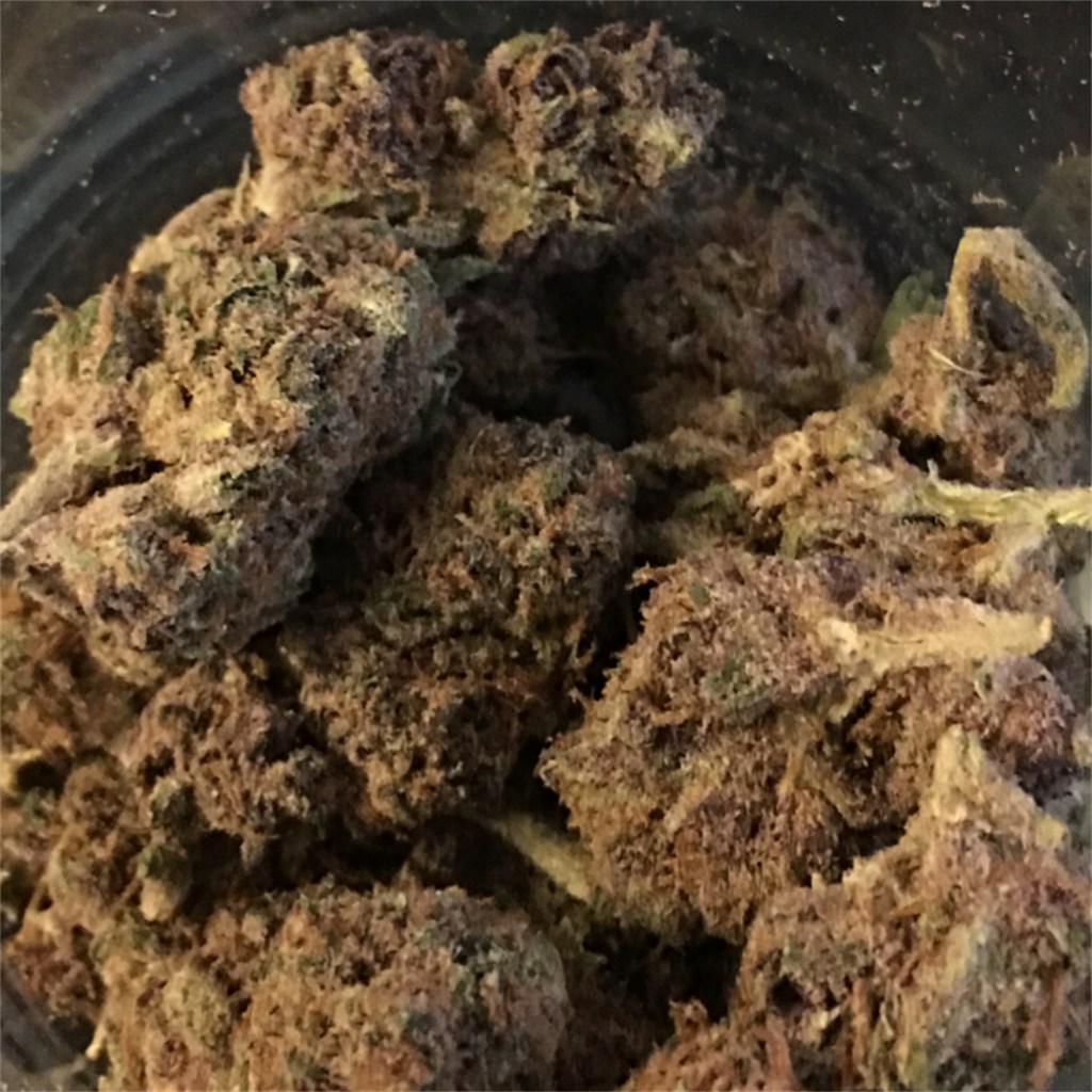 Foto de la variedad Purple AK-47