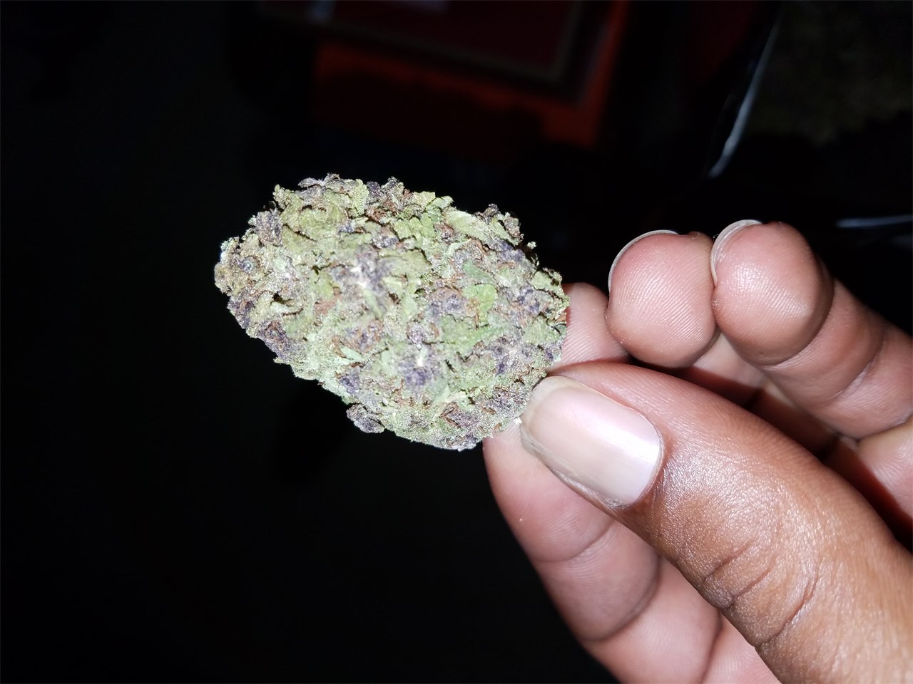 Purple Aurora