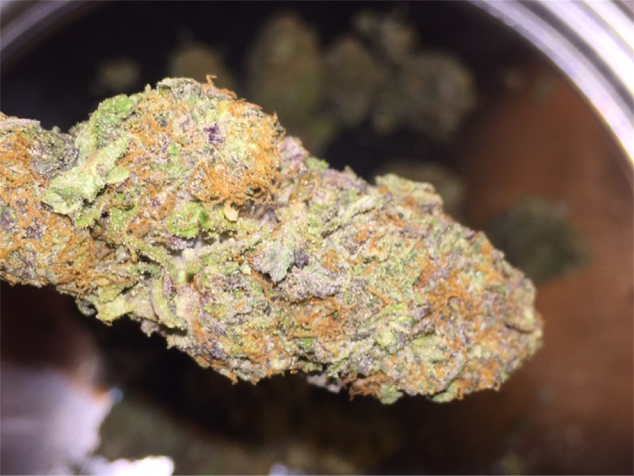 Purple Berry