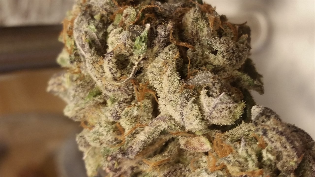 Foto de la variedad Purple Bubba Kush