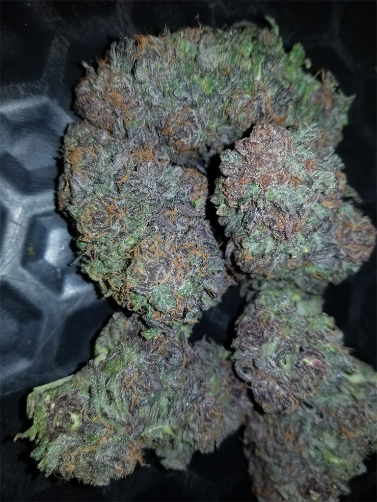 Foto de la variedad Purple Dog Shit