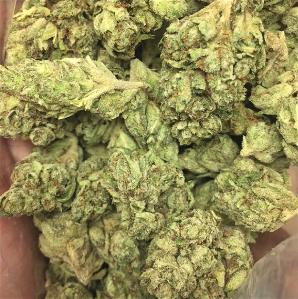 Purple Dream