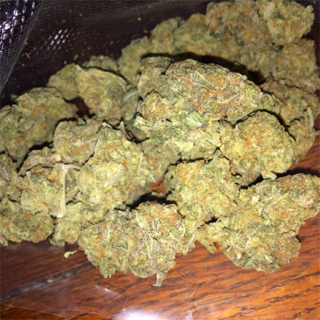 Foto de la variedad Purple Goo