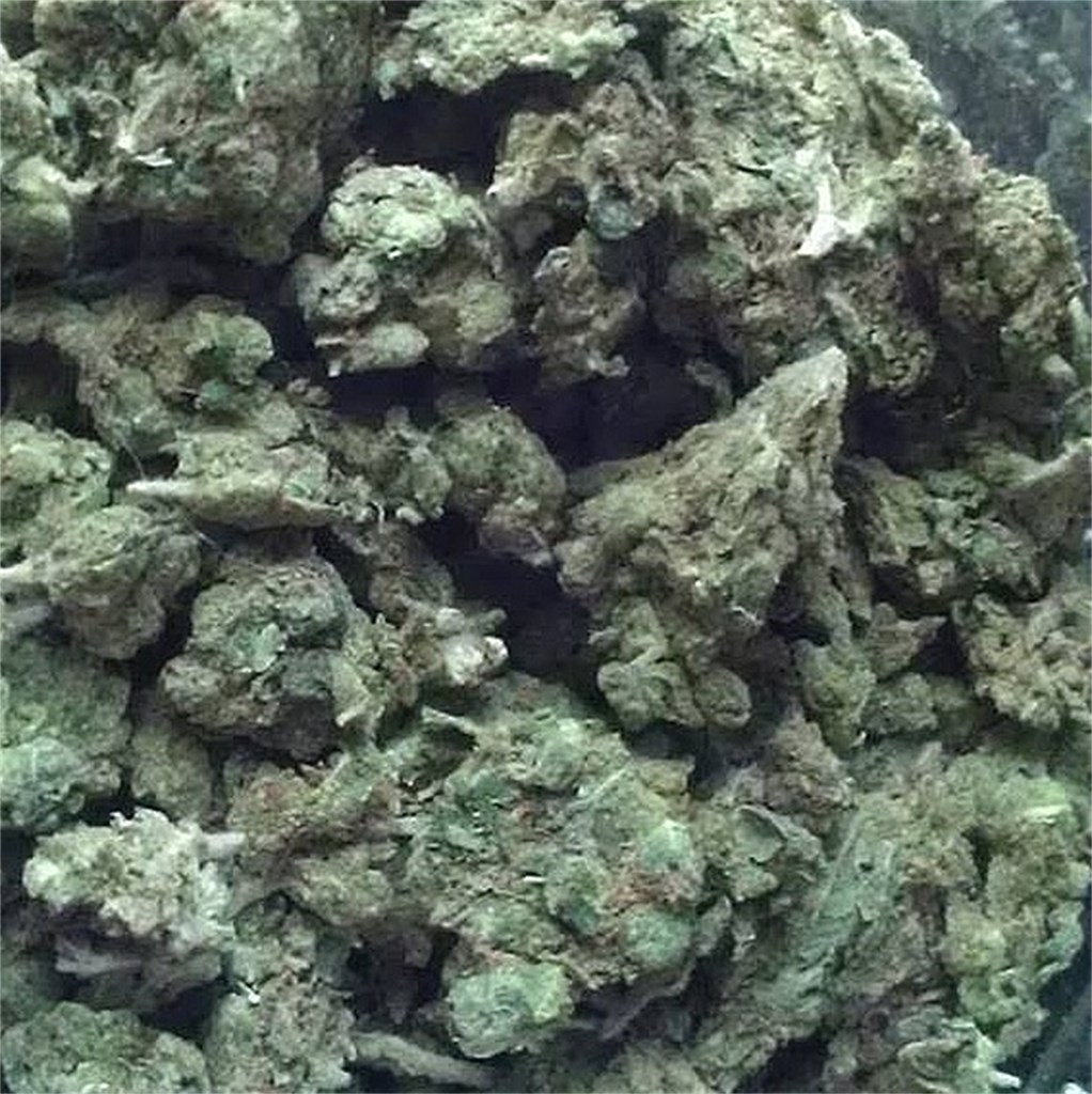 Purple Headband