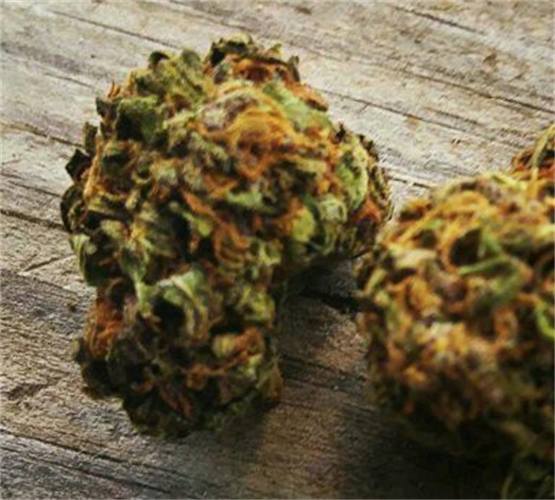 Foto de la variedad Purple Hindu Kush