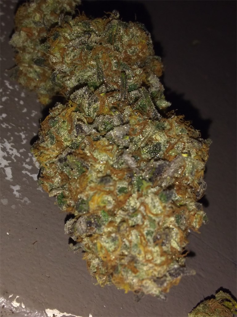 Purple Monkey Balls