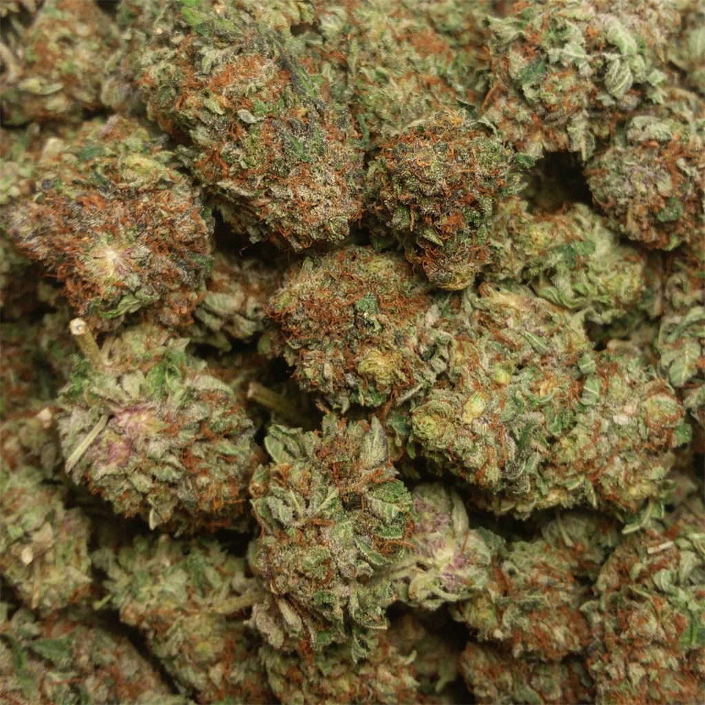 Purple OG Kush