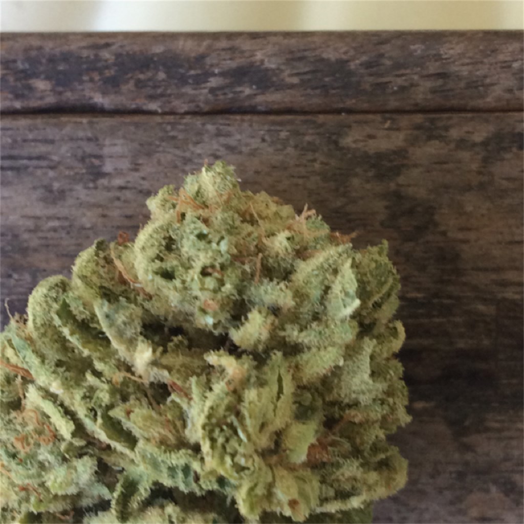 Purple Panty Dropper