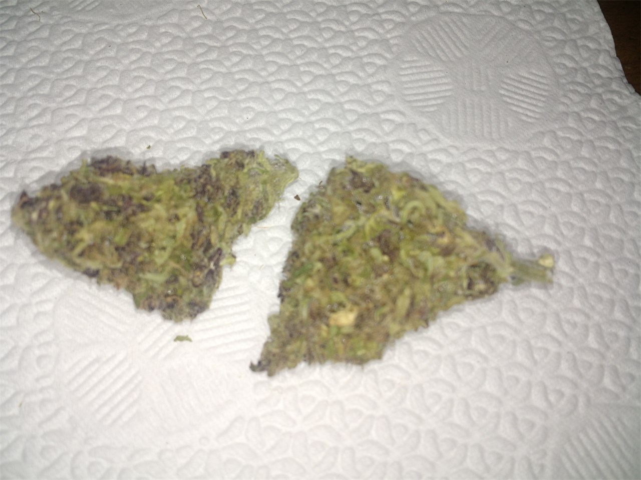 Foto de la variedad Purple Pinecone