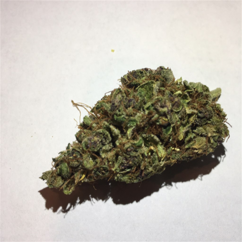 Foto de la variedad Purple Power