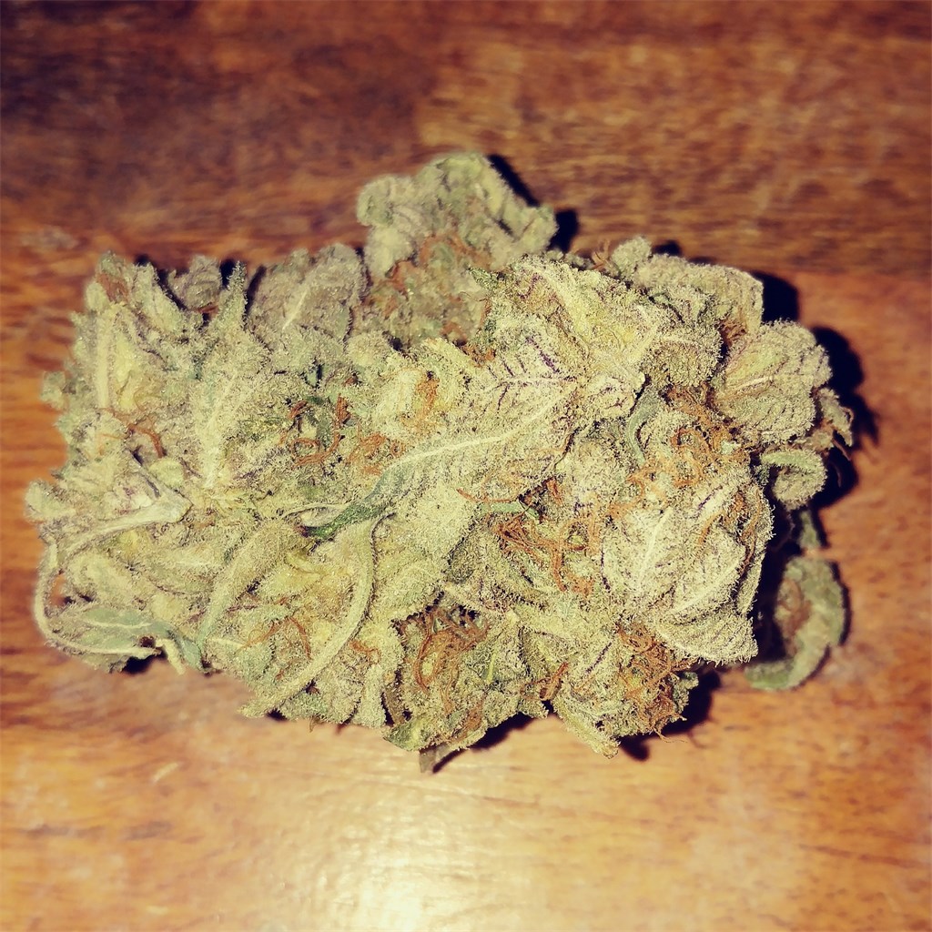 Foto de la variedad Purple Princess