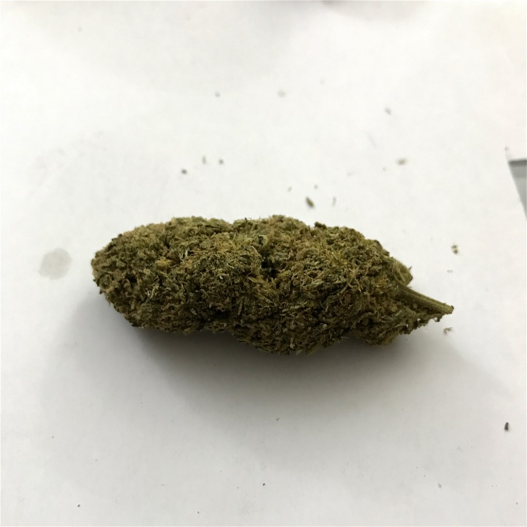 Foto de la variedad Purple Thai