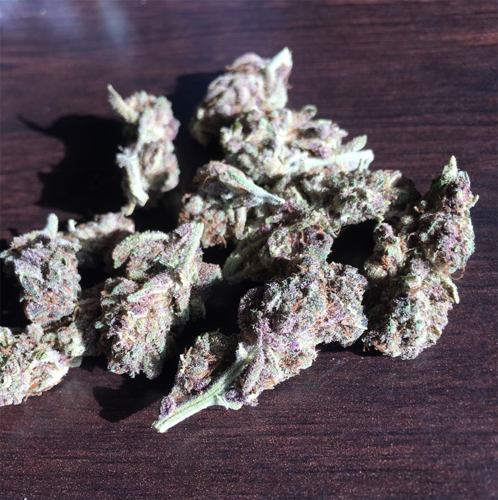Foto de la variedad Purple Voodoo