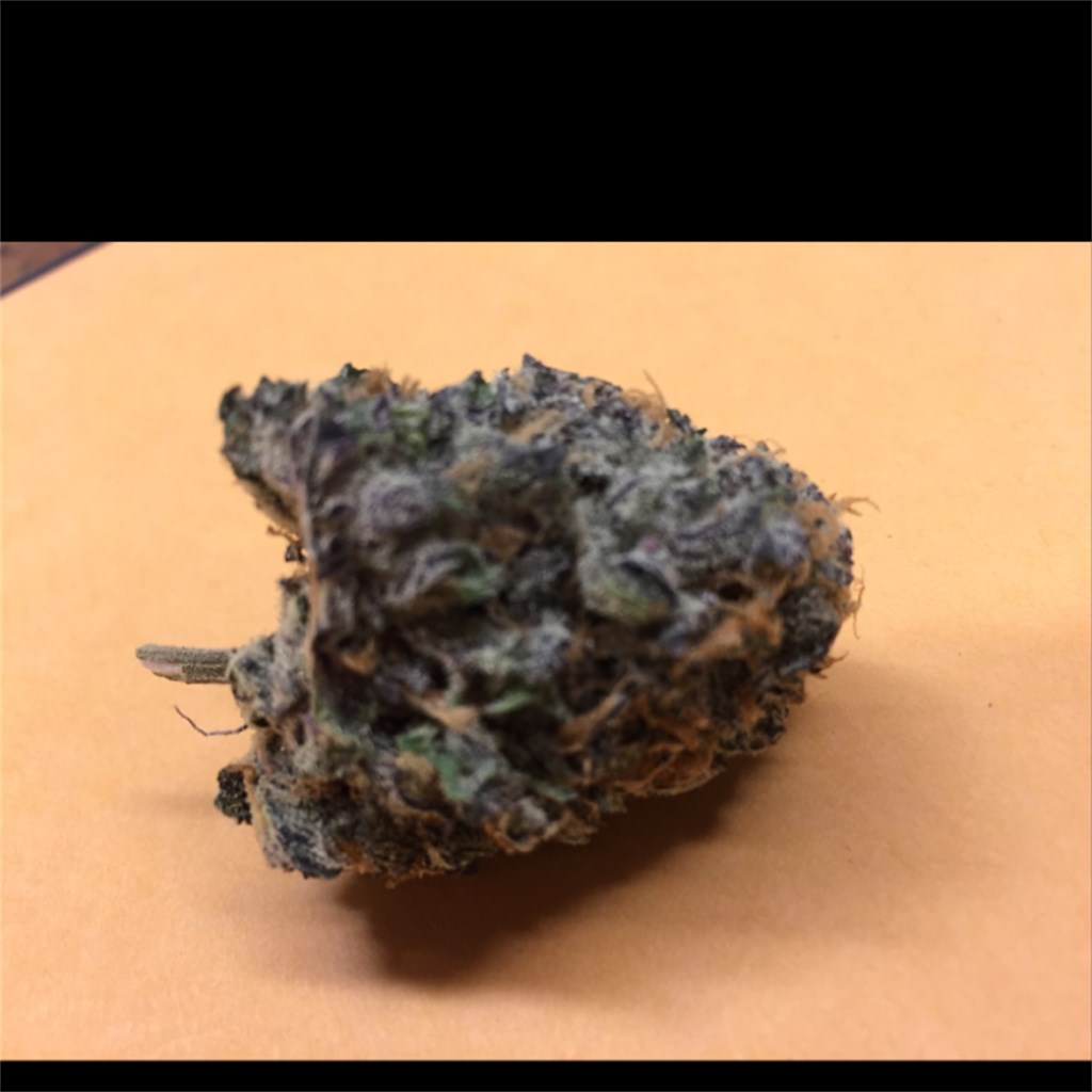 Foto de la variedad Purple Widow