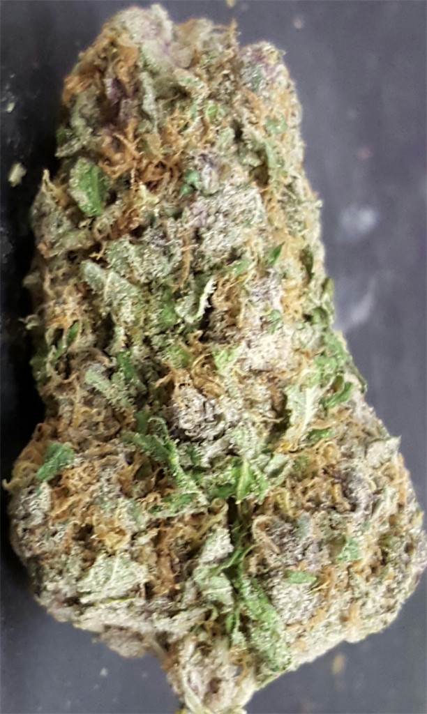 Purple Widow