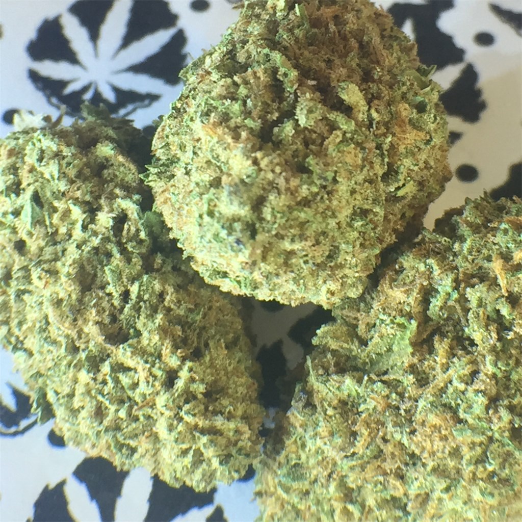 Foto de la variedad Purple Wreck