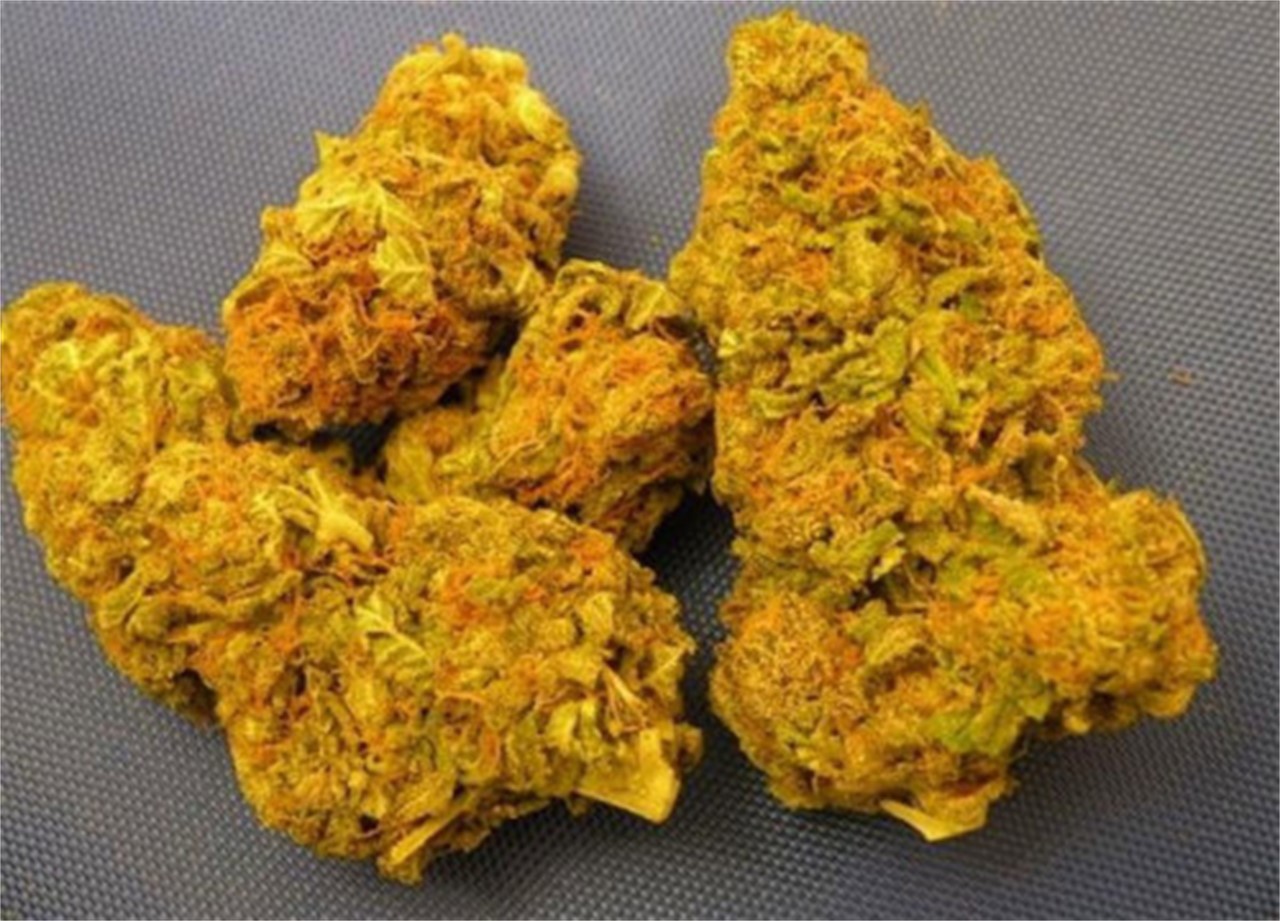 Quebec Gold