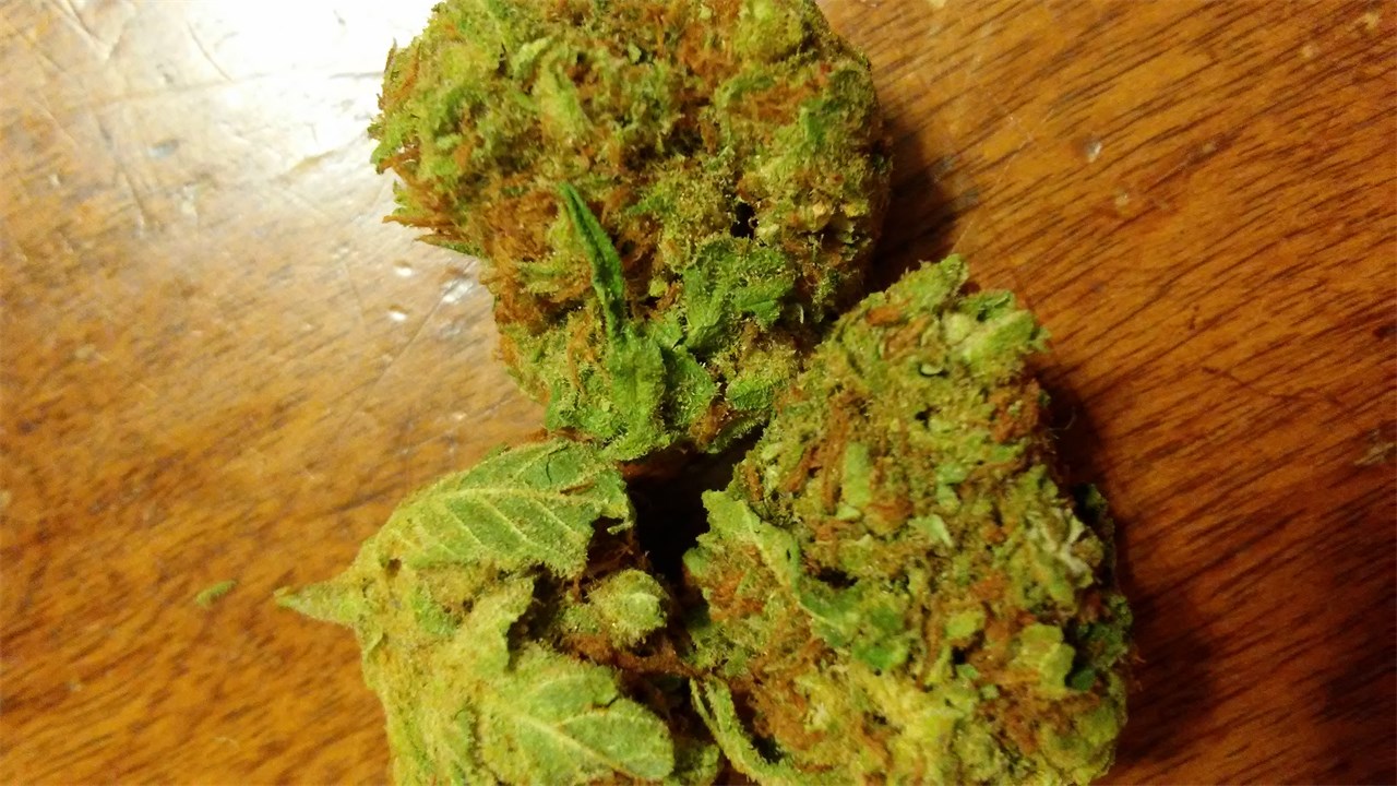 Foto de la variedad Querkle