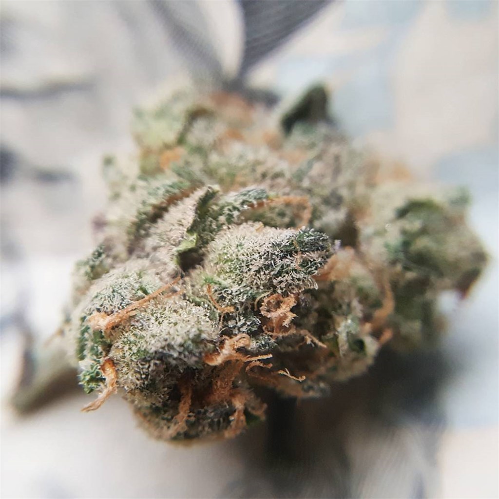 Querkle