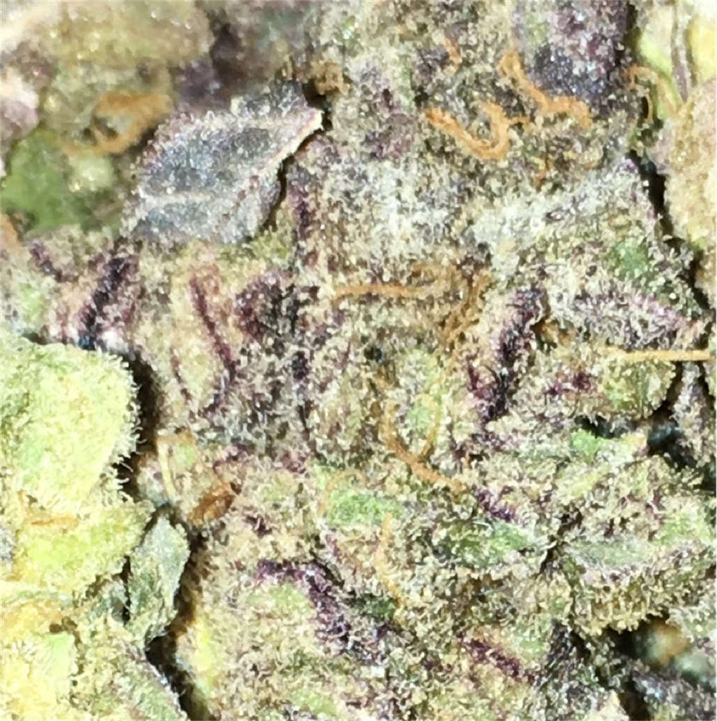 Rainbow Jones