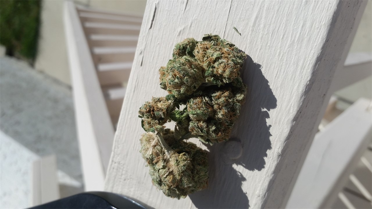 Foto de la variedad Rare Dankness #1