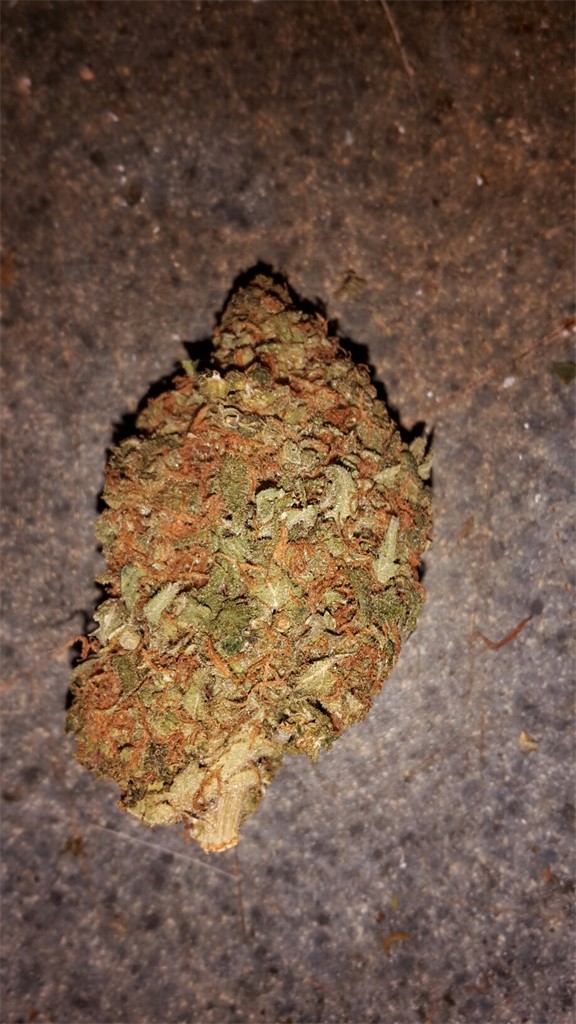 Rebel God Smoke