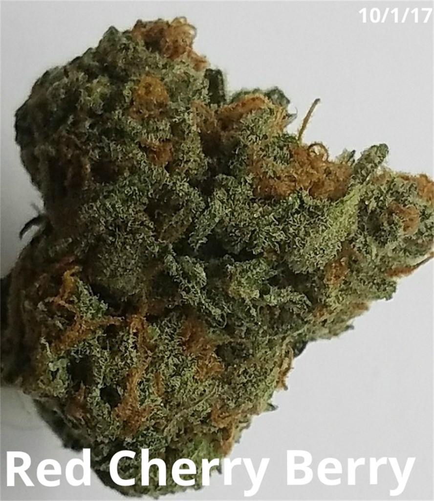 Red Cherry Berry