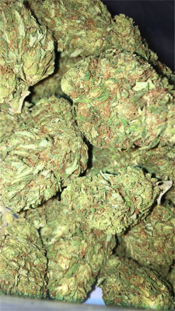 Foto de la variedad Colombian Red Haze