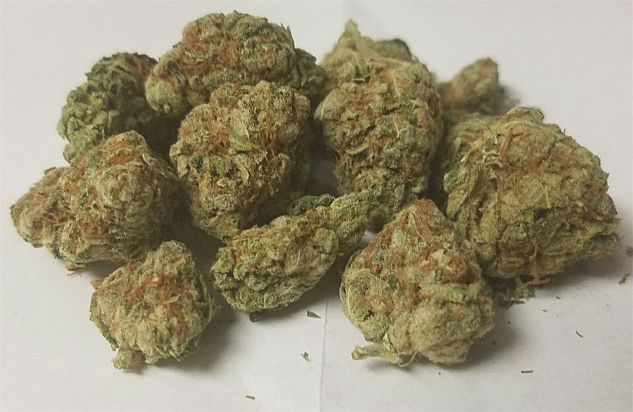 Foto de la variedad Red Headed Stranger