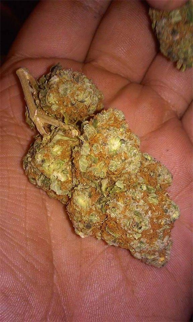 Red Headed Stranger Cannabis Strain Information Leafly