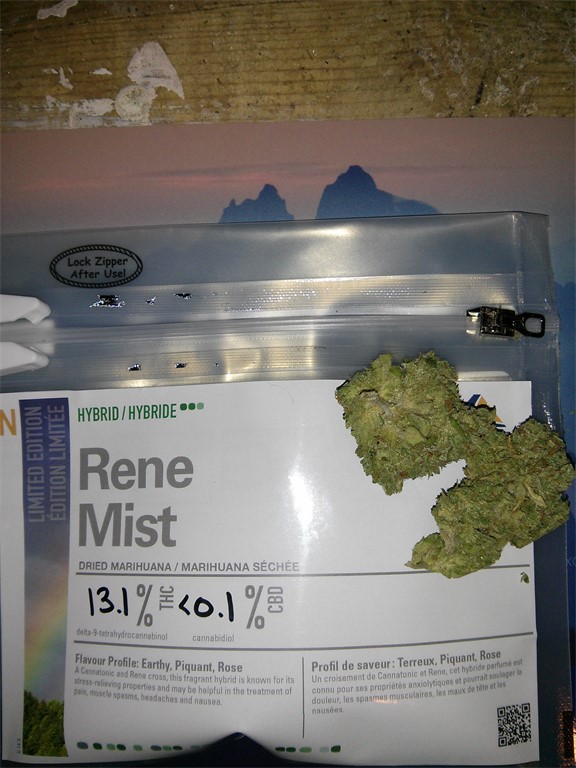 Rene Mist