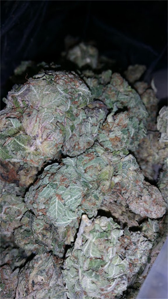 Rockstar Master Kush