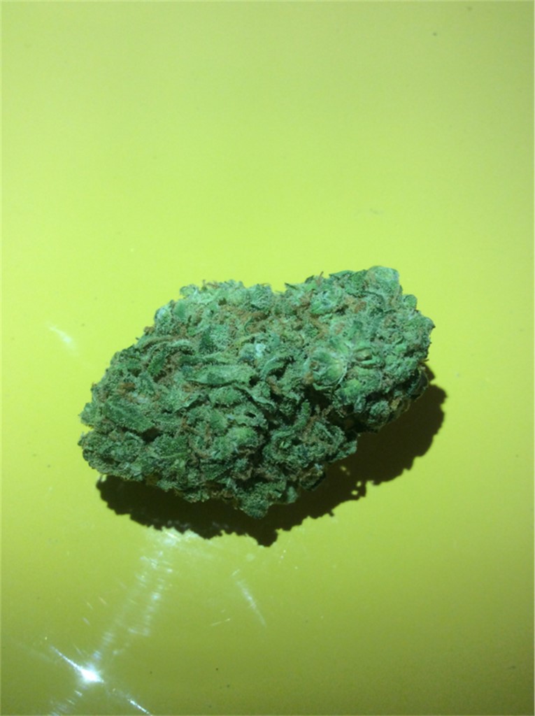 Rocky Mountain Blueberry