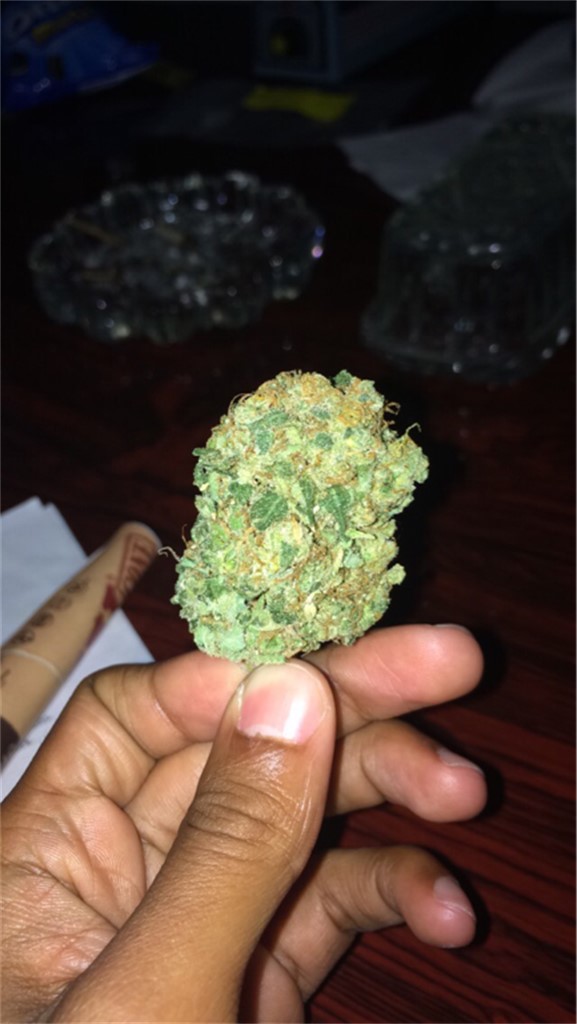 Rocky Mountain High
