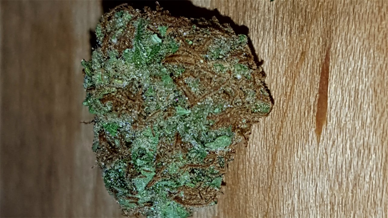 Rollex OG Kush