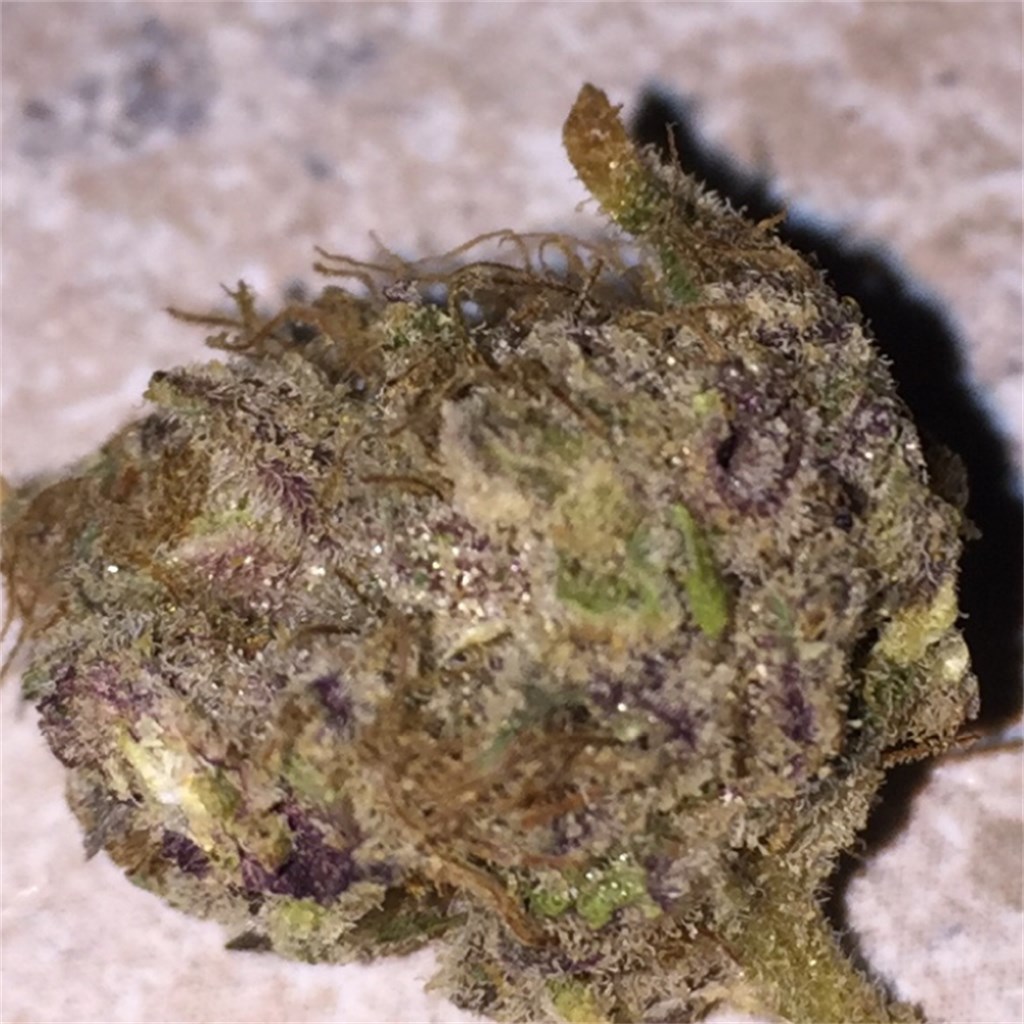 Foto de la variedad Romulan Grapefruit