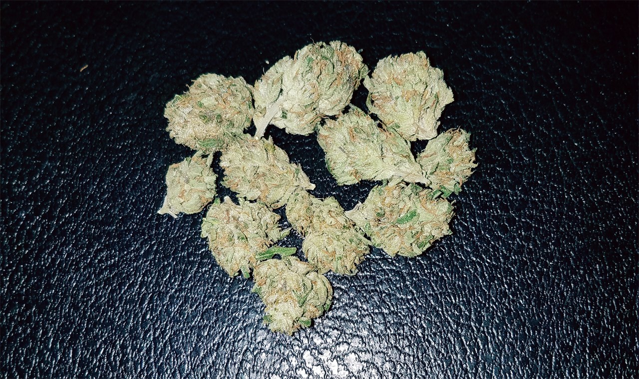 Root Beer Kush