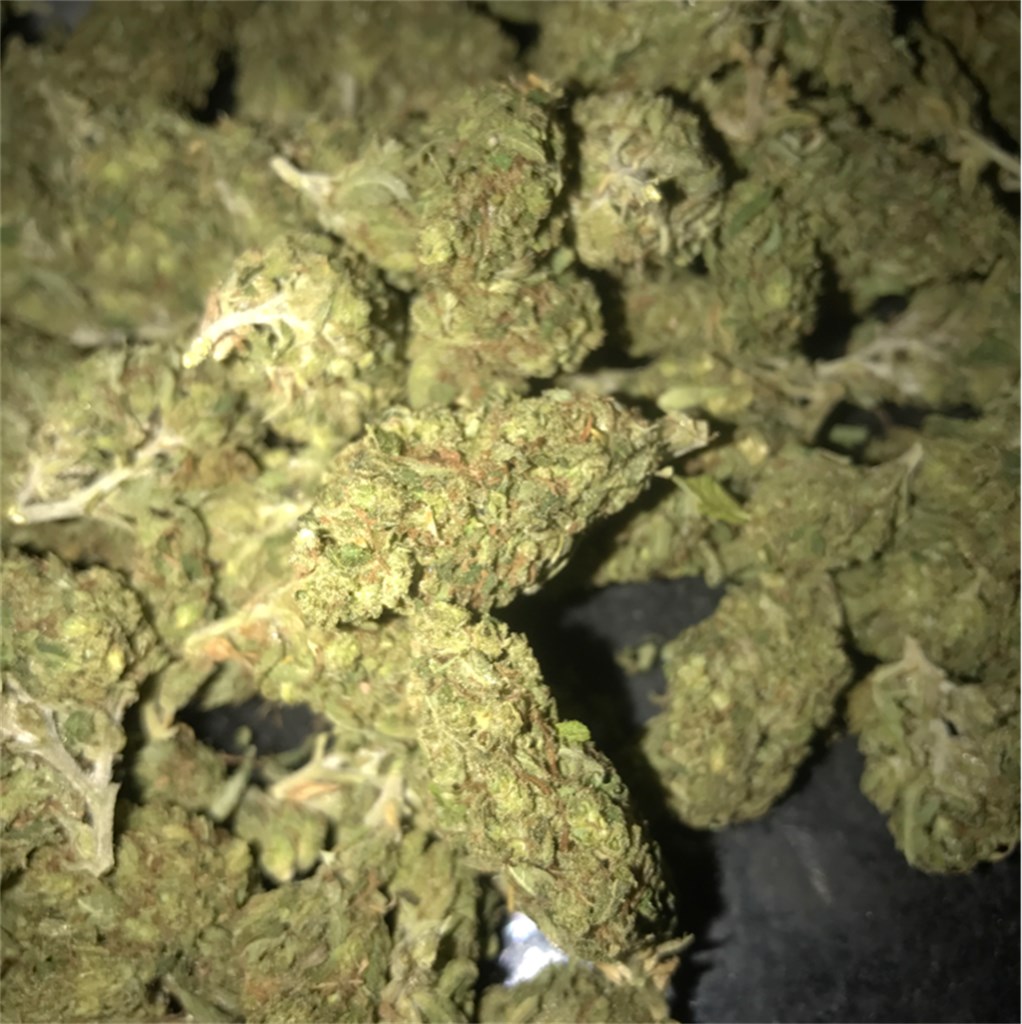 Rose Bud