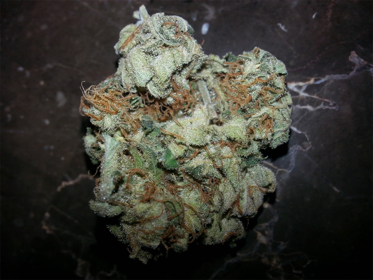Royal Haze