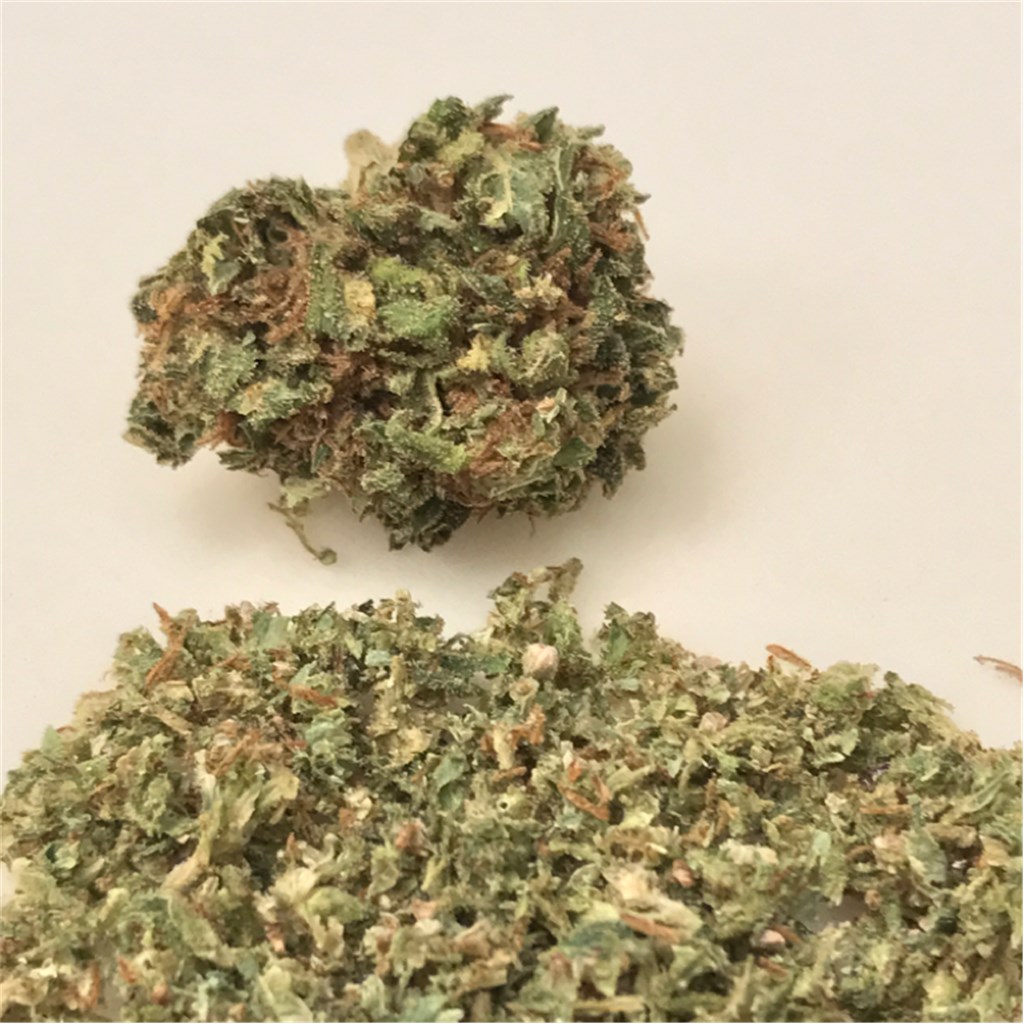 Foto de la variedad Satori