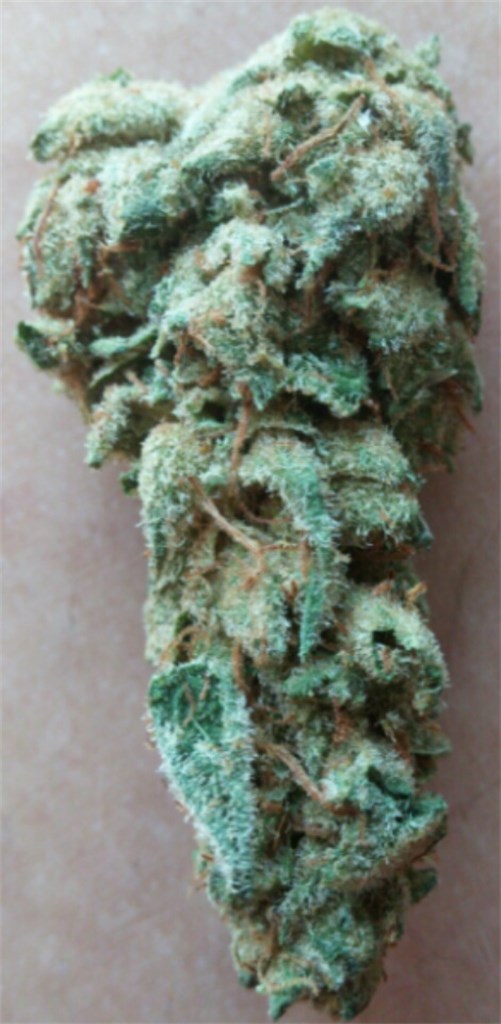 Saturn OG