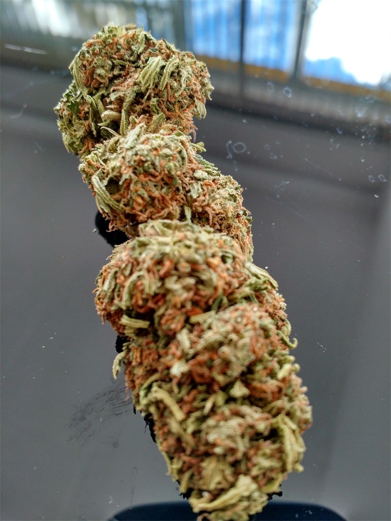 Savant's Grail